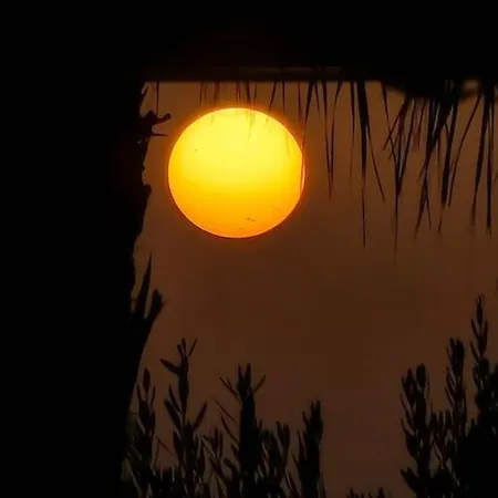 Sea Dream * ゴーレム