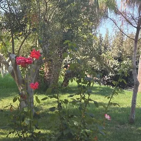 Sea Dream * ゴーレム