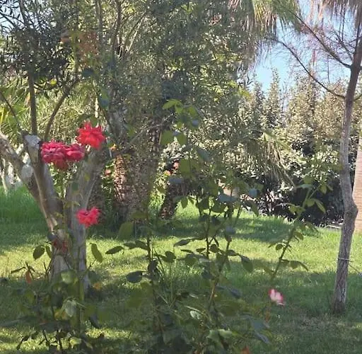 Sea Dream * Golem (Tirana)